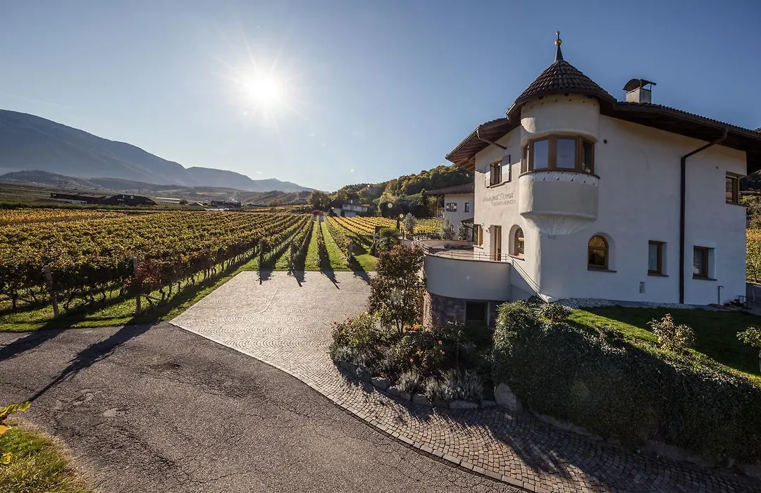 Weingut Donà-1